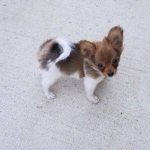 Meet your Posher, Jae